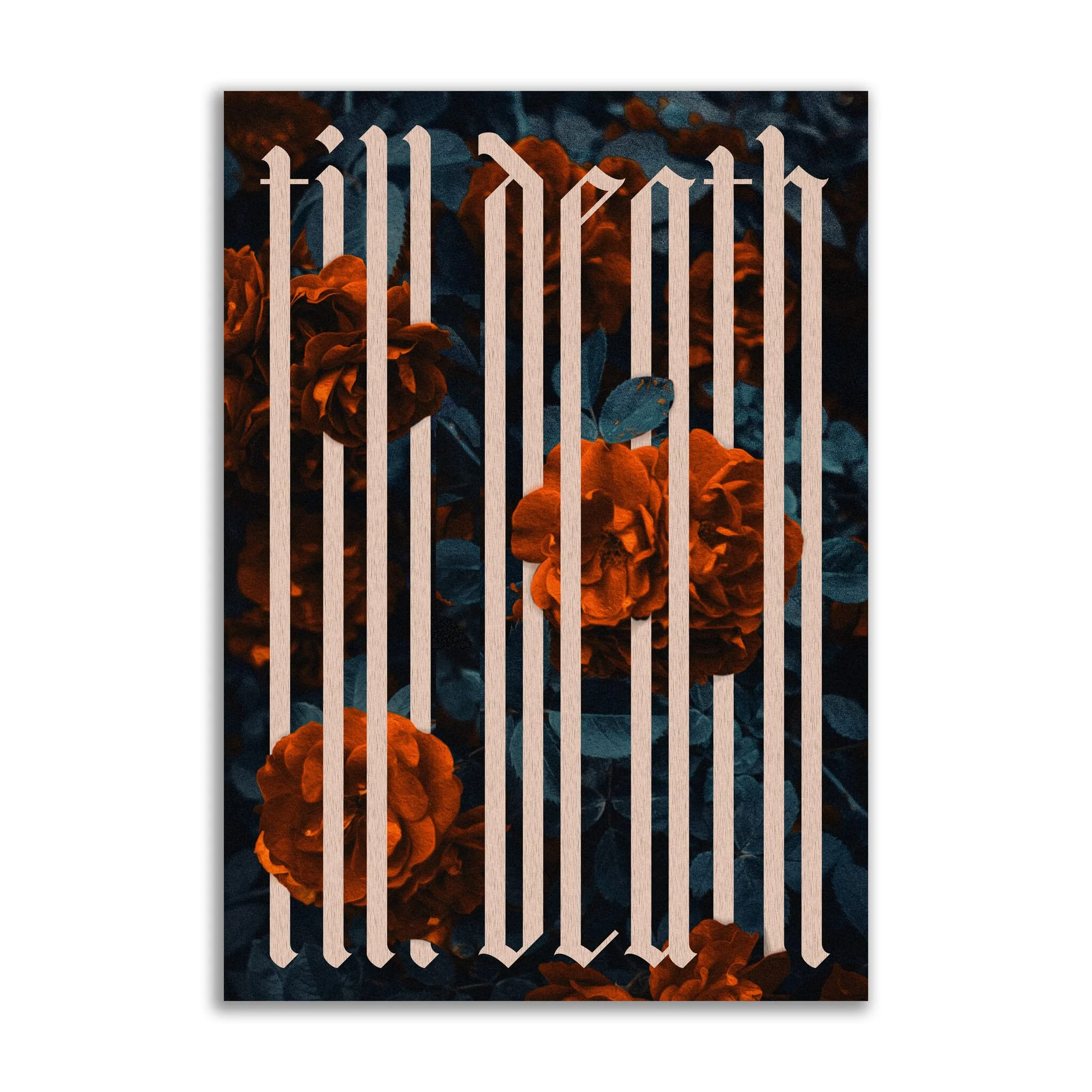 Till Death - Red Roses - Image 5